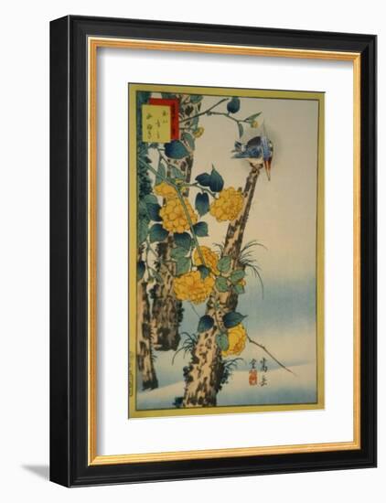 Kingfisher and Gold-Nettle-Sugakudo-Framed Art Print
