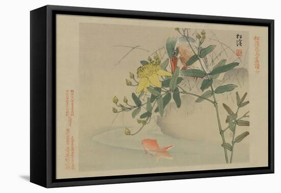 Kingfisher and Goldfish in Pond-null-Framed Stretched Canvas