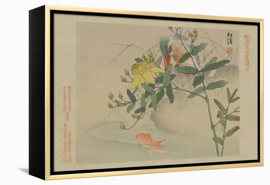 Kingfisher and Goldfish in Pond-null-Framed Stretched Canvas