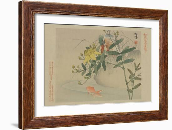 Kingfisher and Goldfish in Pond-null-Framed Art Print