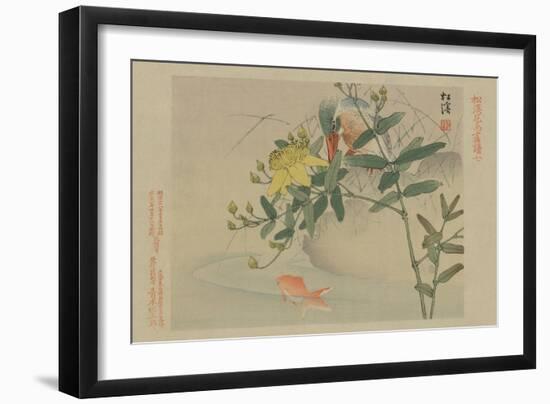 Kingfisher and Goldfish in Pond-null-Framed Art Print