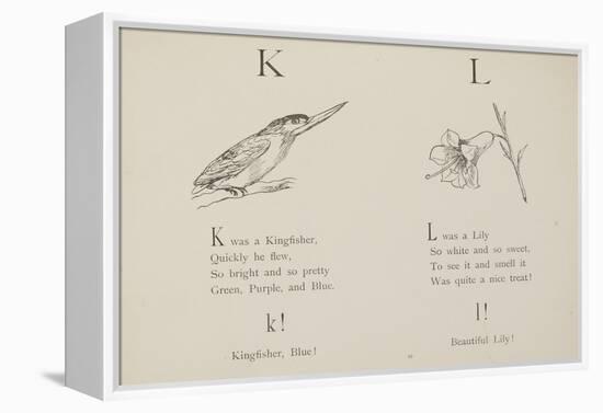 Kingfisher and Lily Illustrations and Verse From Nonsense Alphabets by Edward Lear.-null-Framed Premier Image Canvas