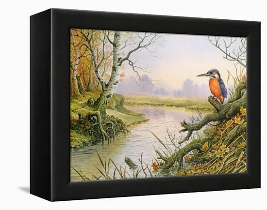 Kingfisher: Autumn River Scene-Carl Donner-Framed Premier Image Canvas