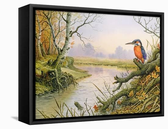 Kingfisher: Autumn River Scene-Carl Donner-Framed Premier Image Canvas