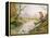 Kingfisher: Autumn River Scene-Carl Donner-Framed Premier Image Canvas