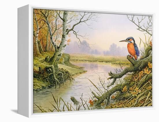 Kingfisher: Autumn River Scene-Carl Donner-Framed Premier Image Canvas