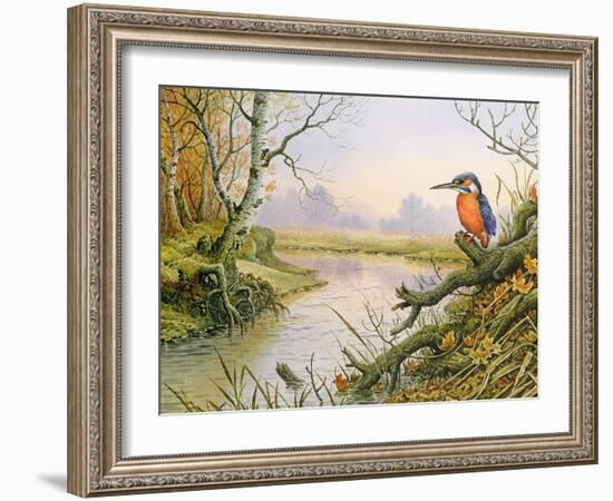 Kingfisher: Autumn River Scene-Carl Donner-Framed Giclee Print