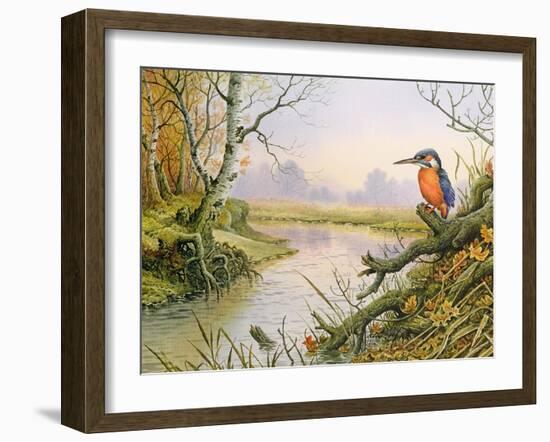 Kingfisher: Autumn River Scene-Carl Donner-Framed Giclee Print