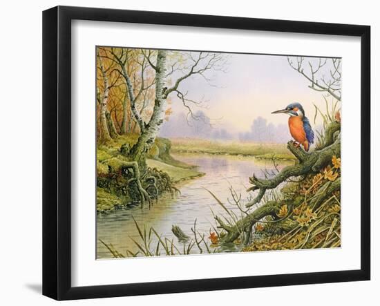 Kingfisher: Autumn River Scene-Carl Donner-Framed Giclee Print