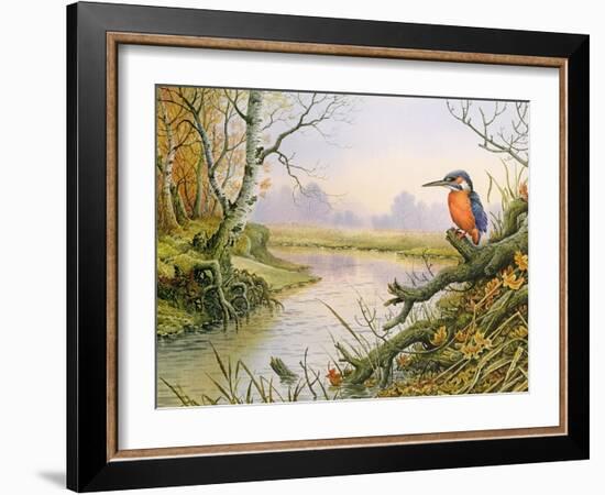 Kingfisher: Autumn River Scene-Carl Donner-Framed Giclee Print