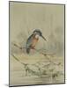 Kingfisher, Illustration from 'A History of British Birds' by William Yarrell, c.1905-10-Edward Adrian Wilson-Mounted Giclee Print