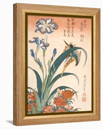 Kingfisher, Irises and Pinks (Colour Woodblock Print)-Katsushika Hokusai-Framed Premier Image Canvas