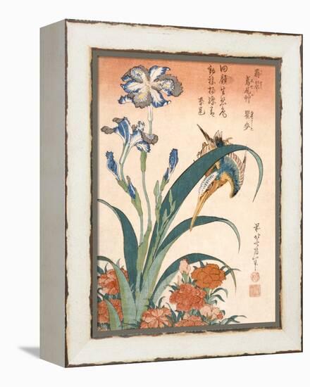 Kingfisher, Irises and Pinks (Colour Woodblock Print)-Katsushika Hokusai-Framed Premier Image Canvas