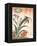 Kingfisher, Irises and Pinks (Colour Woodblock Print)-Katsushika Hokusai-Framed Premier Image Canvas