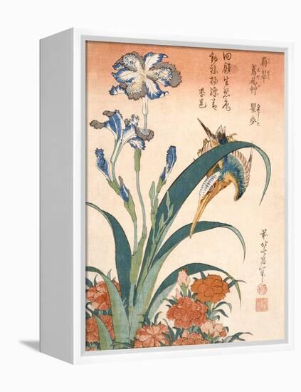 Kingfisher, Irises and Pinks (Colour Woodblock Print)-Katsushika Hokusai-Framed Premier Image Canvas