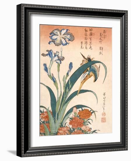 Kingfisher, Irises and Pinks (Colour Woodblock Print)-Katsushika Hokusai-Framed Giclee Print