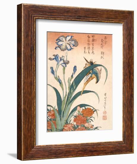 Kingfisher, Irises and Pinks (Colour Woodblock Print)-Katsushika Hokusai-Framed Giclee Print