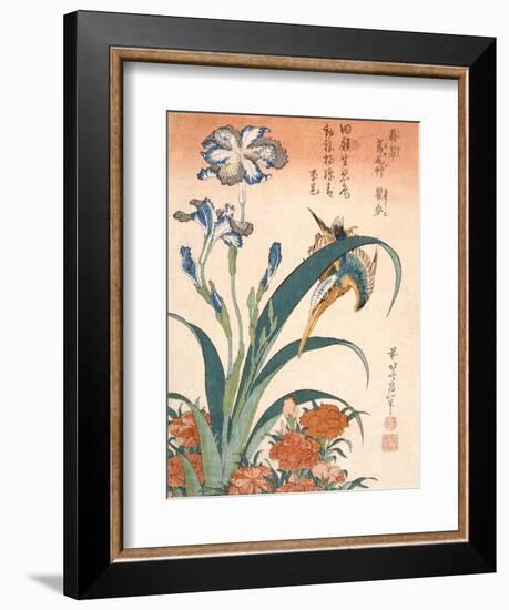 Kingfisher, Irises and Pinks (Colour Woodblock Print)-Katsushika Hokusai-Framed Giclee Print
