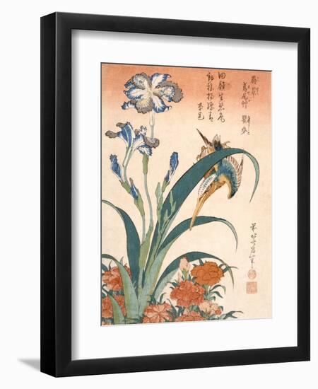 Kingfisher, Irises and Pinks (Colour Woodblock Print)-Katsushika Hokusai-Framed Giclee Print