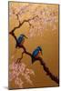 Kingfisher Pair, 2022, (Oil on Canvas)-Lee Campbell-Mounted Giclee Print