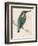 Kingfisher Sitting on a Thin Branch-Reverend Francis O. Morris-Framed Photographic Print