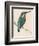 Kingfisher Sitting on a Thin Branch-Reverend Francis O. Morris-Framed Photographic Print