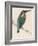 Kingfisher Sitting on a Thin Branch-Reverend Francis O. Morris-Framed Photographic Print