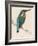 Kingfisher Sitting on a Thin Branch-Reverend Francis O. Morris-Framed Photographic Print