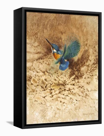 Kingfisher Study-Michael Jackson-Framed Premier Image Canvas