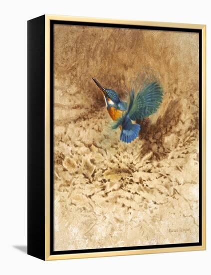Kingfisher Study-Michael Jackson-Framed Premier Image Canvas