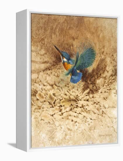 Kingfisher Study-Michael Jackson-Framed Premier Image Canvas