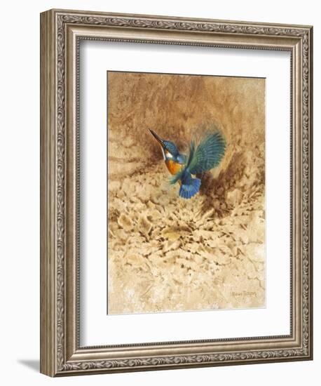 Kingfisher Study-Michael Jackson-Framed Giclee Print