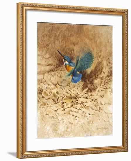 Kingfisher Study-Michael Jackson-Framed Giclee Print