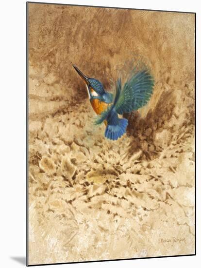 Kingfisher Study-Michael Jackson-Mounted Giclee Print