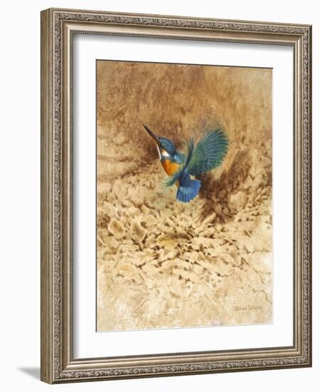 Kingfisher Study-Michael Jackson-Framed Giclee Print