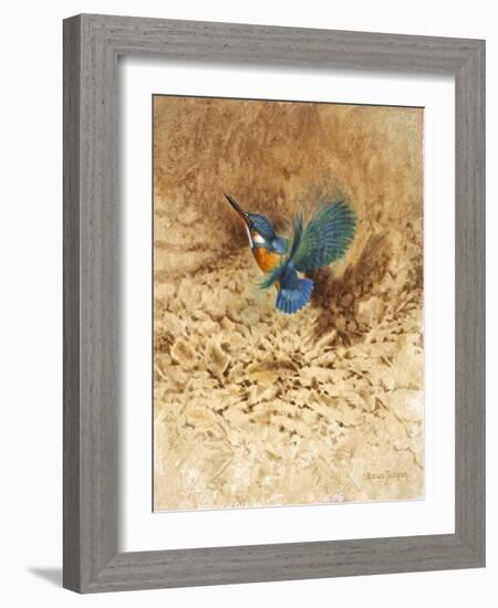 Kingfisher Study-Michael Jackson-Framed Giclee Print