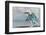 Kingfisher taking off from water, France-Michel Poinsignon-Framed Photographic Print