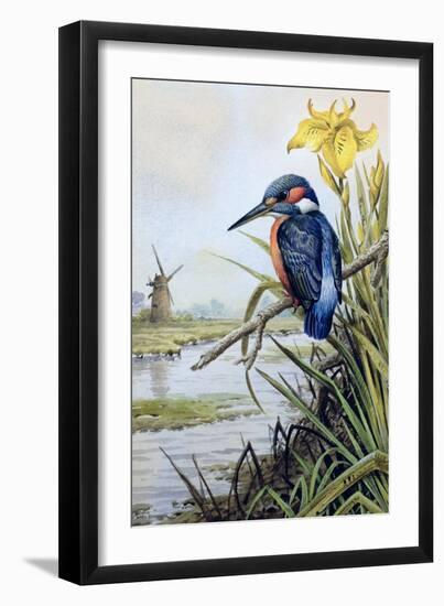 Kingfisher with Flag Iris and Windmill-Carl Donner-Framed Giclee Print