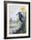 Kingfisher with Flag Iris and Windmill-Carl Donner-Framed Giclee Print