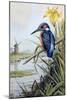 Kingfisher with Flag Iris and Windmill-Carl Donner-Mounted Giclee Print