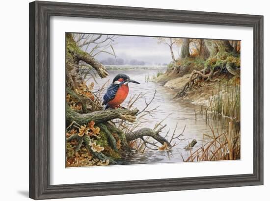 Kingfisher-Carl Donner-Framed Giclee Print