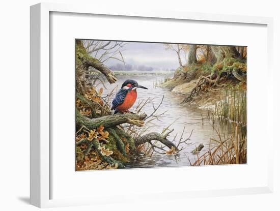 Kingfisher-Carl Donner-Framed Giclee Print