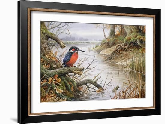 Kingfisher-Carl Donner-Framed Giclee Print