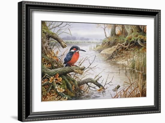 Kingfisher-Carl Donner-Framed Giclee Print