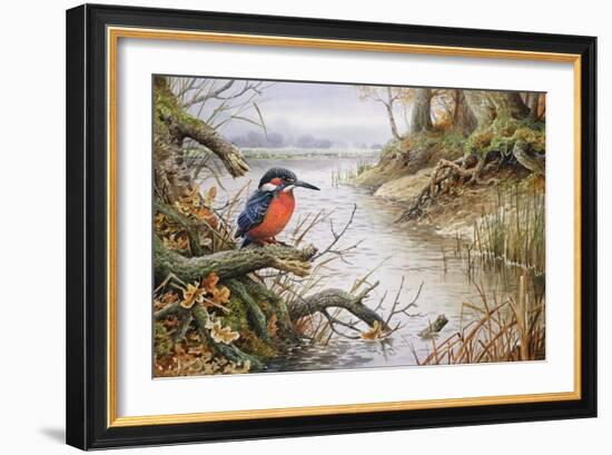 Kingfisher-Carl Donner-Framed Giclee Print