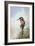 Kingfisher-Carl Donner-Framed Giclee Print