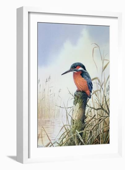 Kingfisher-Carl Donner-Framed Giclee Print