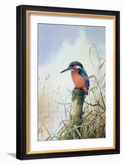 Kingfisher-Carl Donner-Framed Giclee Print