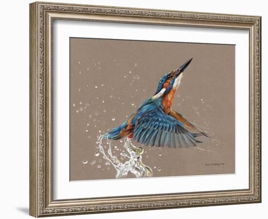 Kingfisher-Sarah Stribbling-Framed Art Print