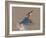 Kingfisher-Sarah Stribbling-Framed Art Print